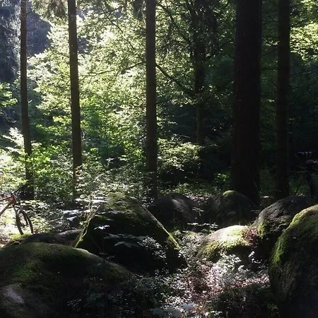 Forest Chalet Am Steinberg Holiday home